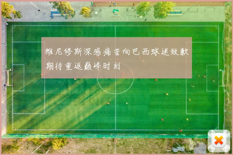 维尼修斯深感痛苦向巴西球迷致歉期待重返巅峰时刻
