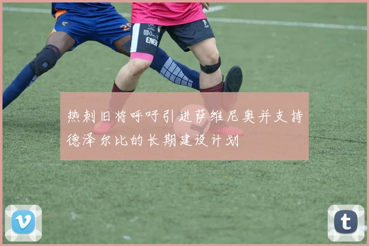 热刺旧将呼吁引进萨维尼奥并支持德泽尔比的长期建设计划