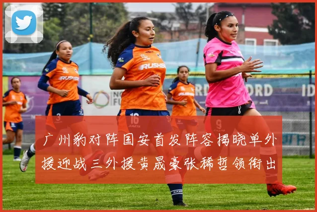 广州豹对阵国安首发阵容揭晓单外援迎战三外援黄晟豪张稀哲领衔出战